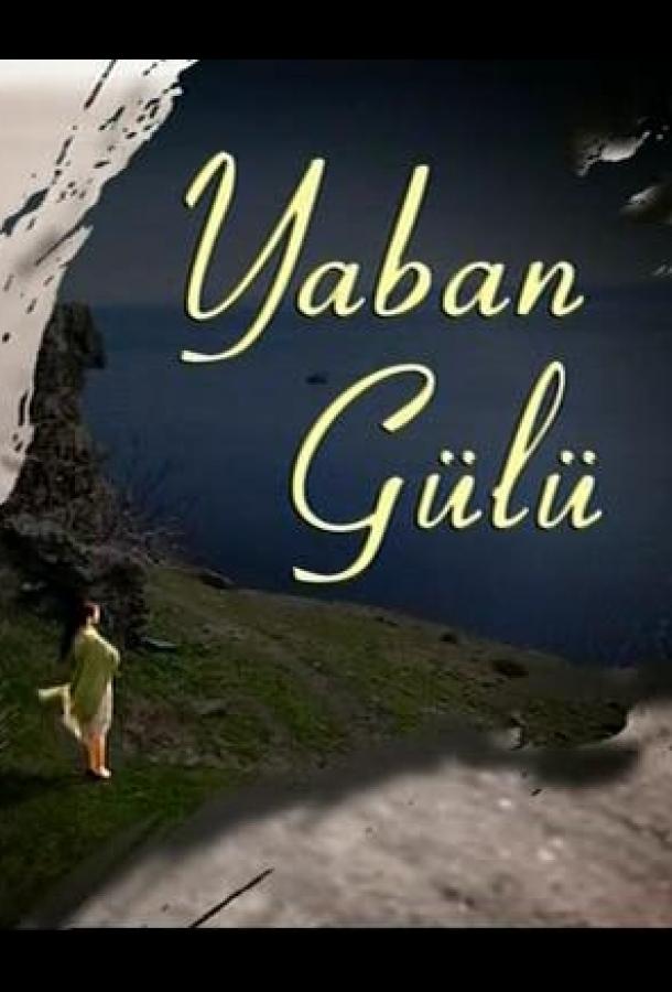Yaban Gülü